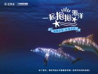 中國國家地理IP跨界OTT 虹領金創(chuàng)大屏新玩法
